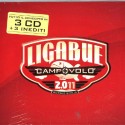 LIGABUE - campovolo 2.011